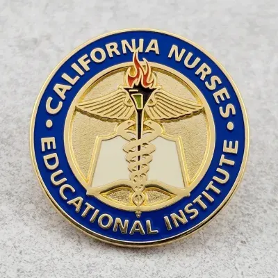 Custom soft enamel nursing educational institute lapel pin with lamp emblem and circular crest