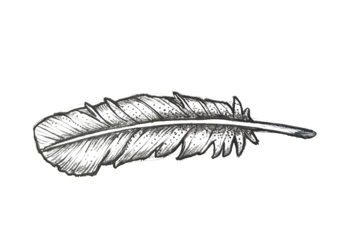 Pencil sketch of a feather design submitted as artwork for a custom lapel pin