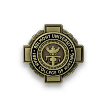 Custom die struck Belmont University College of Nursing lapel pin in antique gold