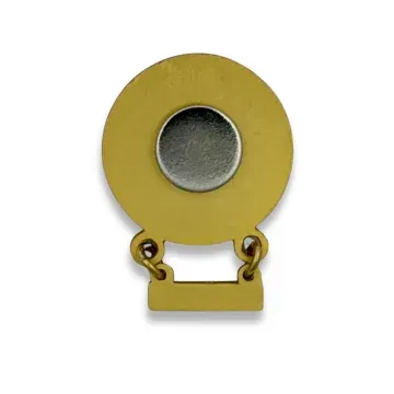 Custom magnetic back lapel pin shown from front in shiny gold finish