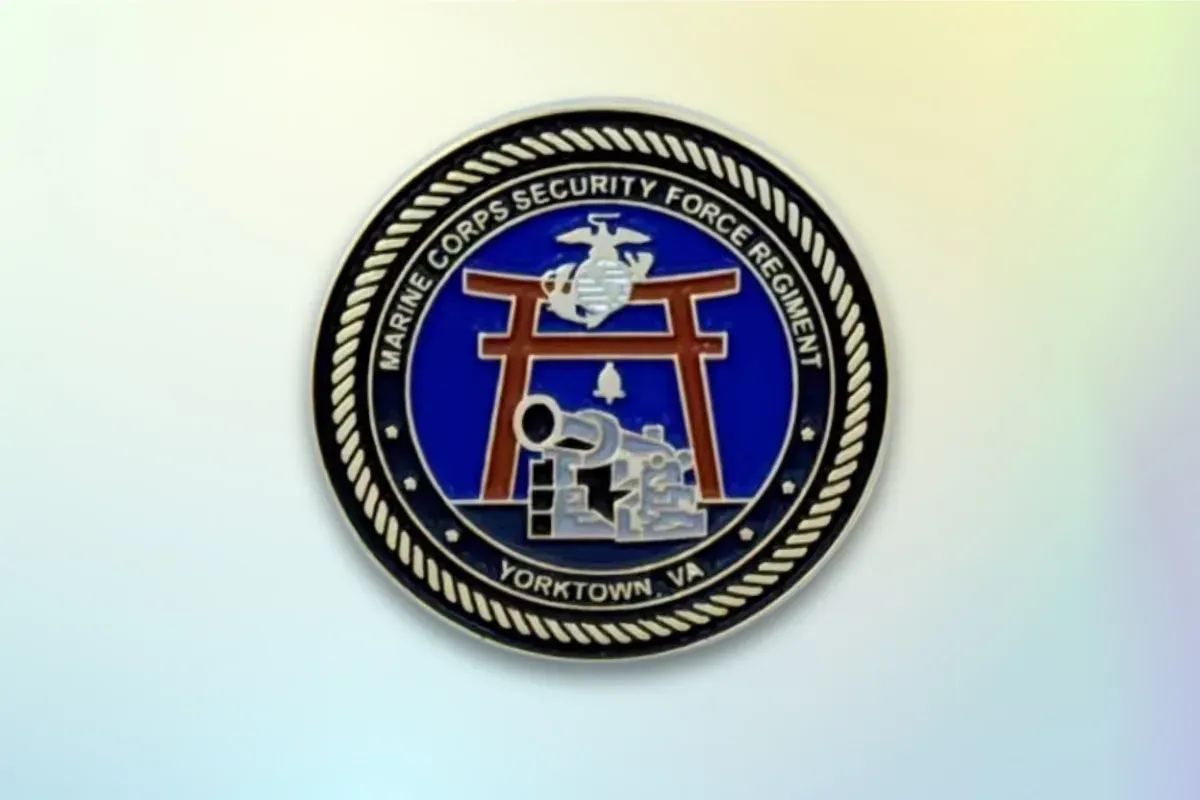 Custom soft enamel military unit lapel pin with branch insignia and deployment commemoration